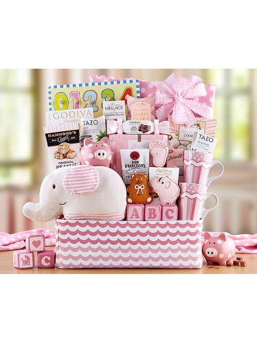 Welcome Home Baby Girl Gift Basket 