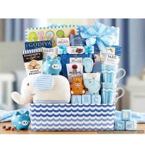 Welcome Home Baby Boy Gift Basket 