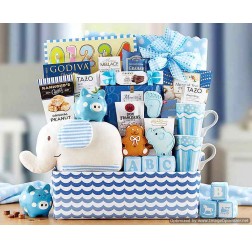 Welcome Home Baby Boy Gift Basket 