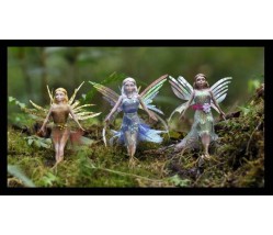 Flitter Fairies 3 Pack - Daria, Eva & Alexa 