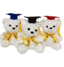Teddy Bear – 9" Graduation Bear